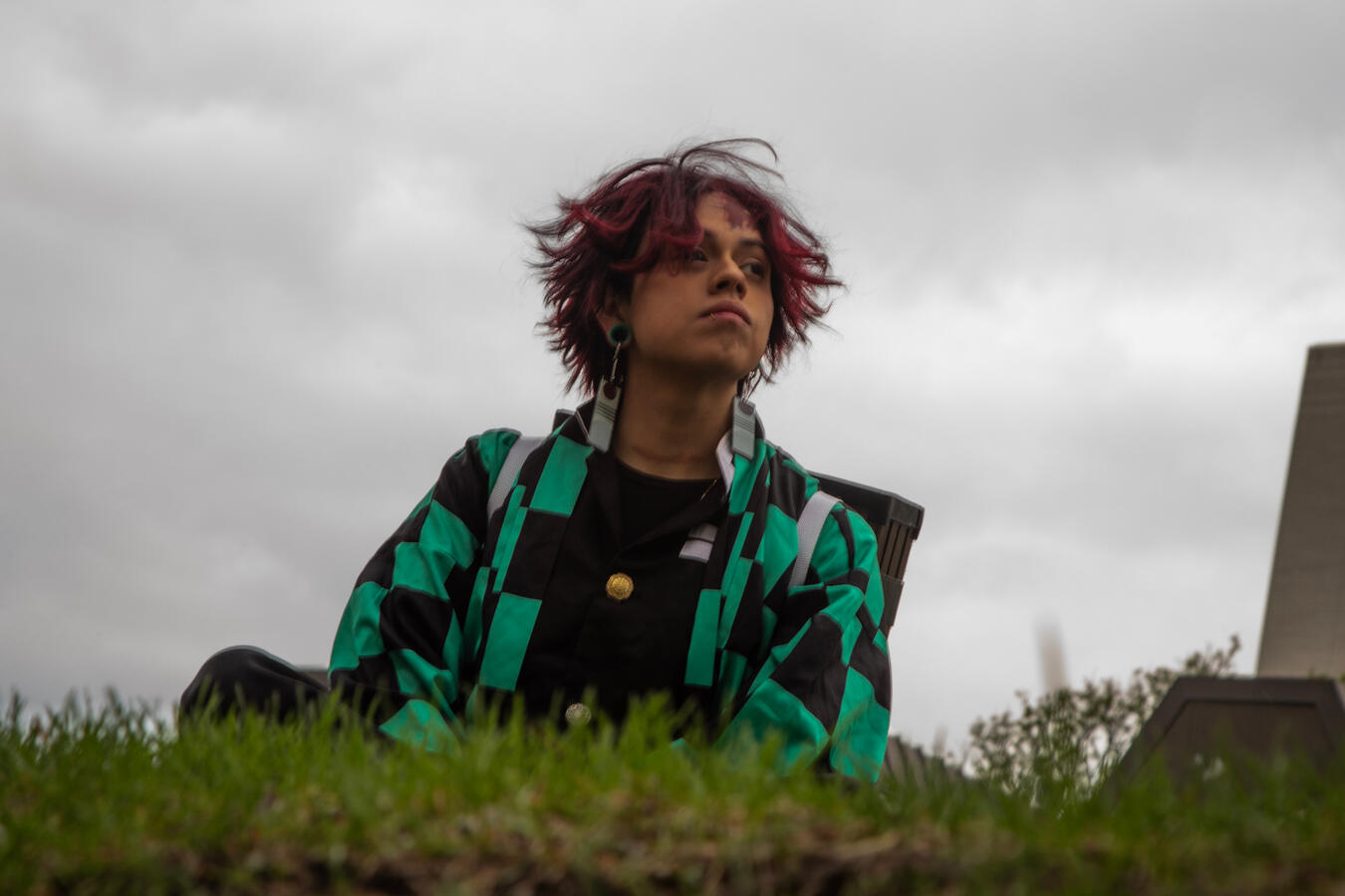 K5A0967 - Worm view, side