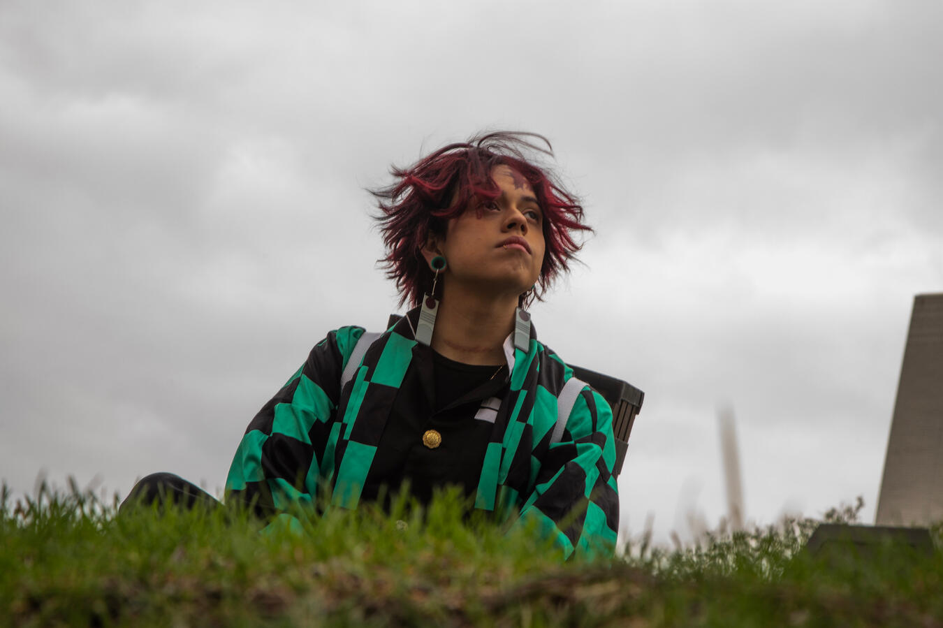 K5A0972 - Worm view, up