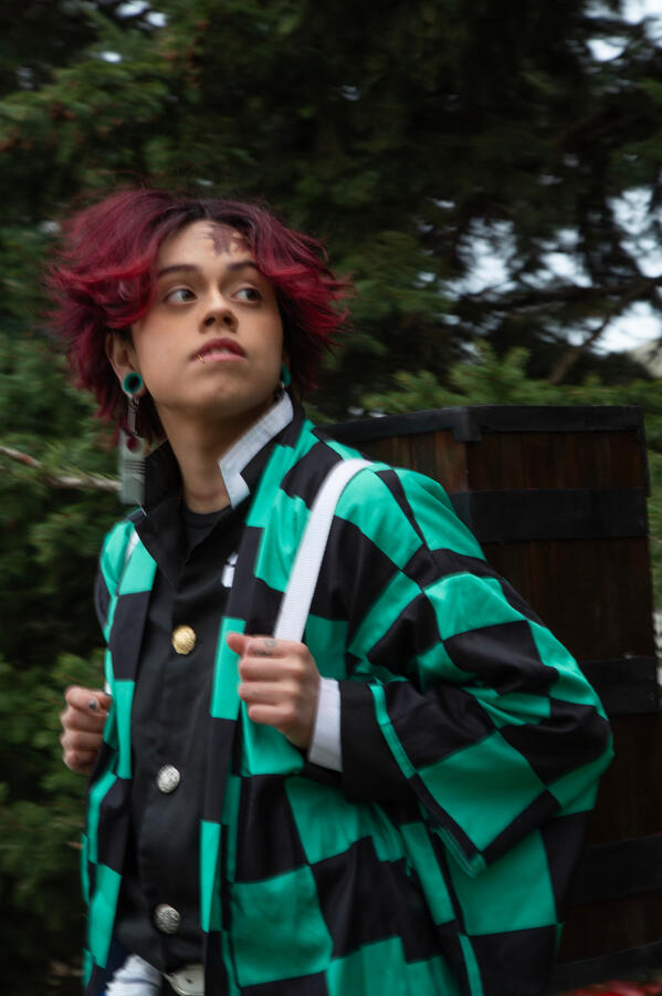 K5A0855 - Outdoor trees, waist up