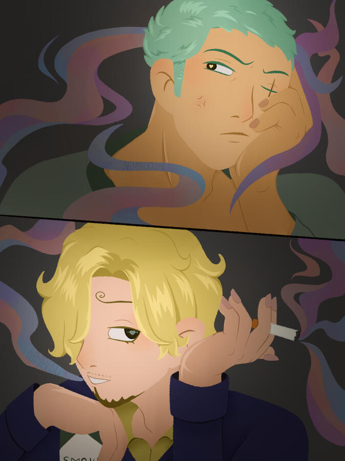 Zoro and Sanji, March 2025